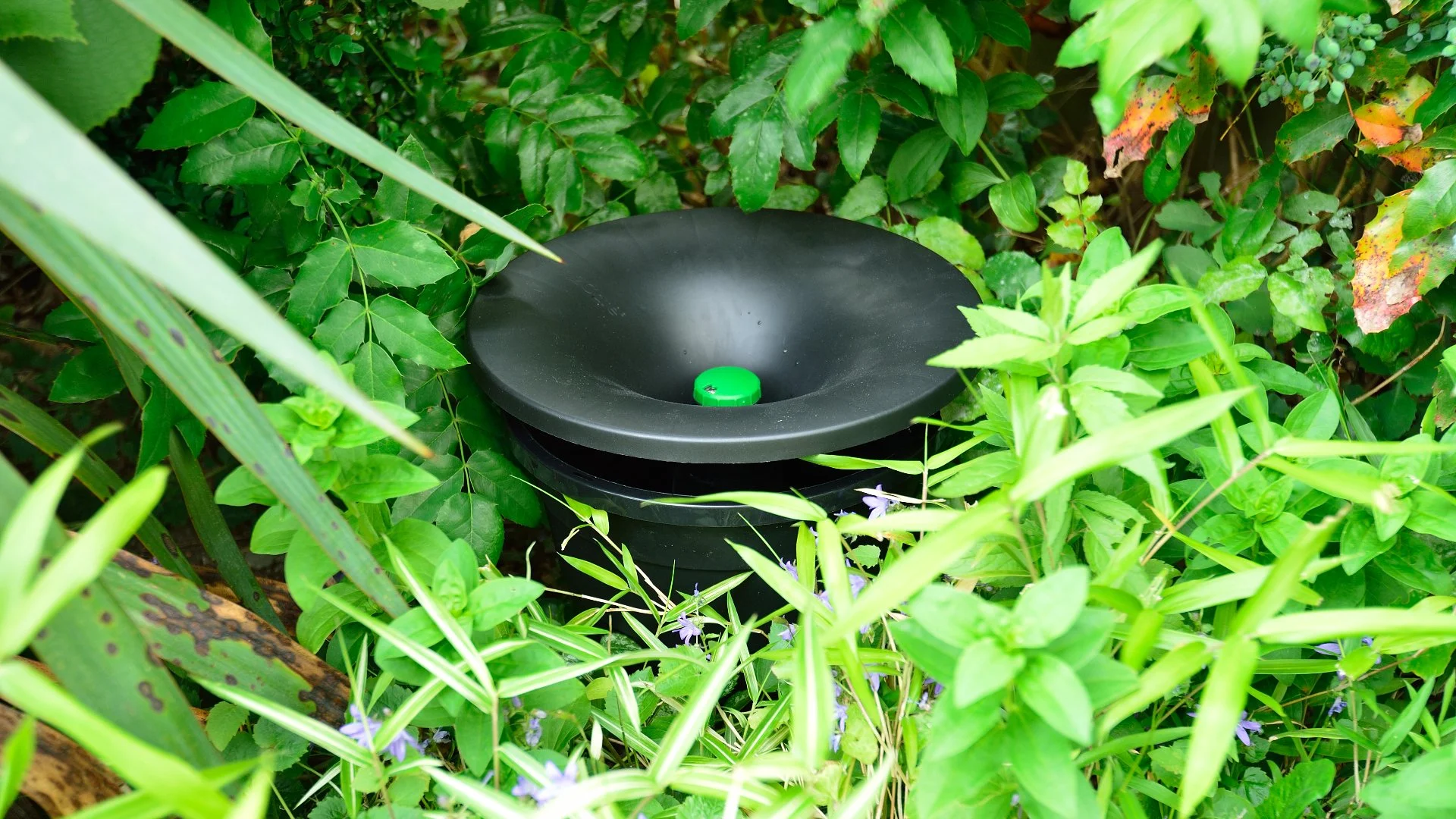 Are Mosquito Bait Stations an Effective Solution to Mosquito Reduction?