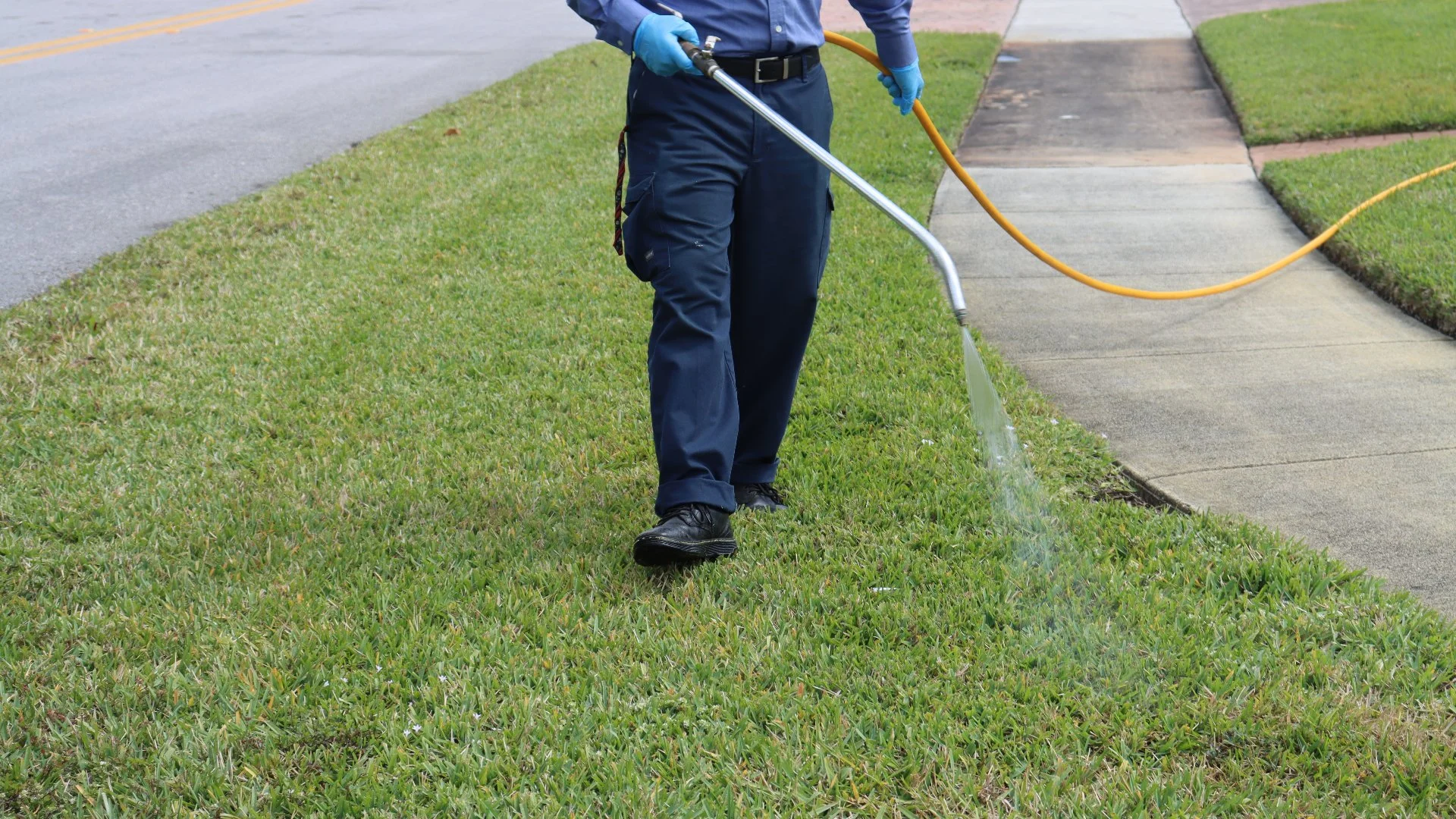 Do Fertilizers Take a While to Absorb Into Your Lawn?