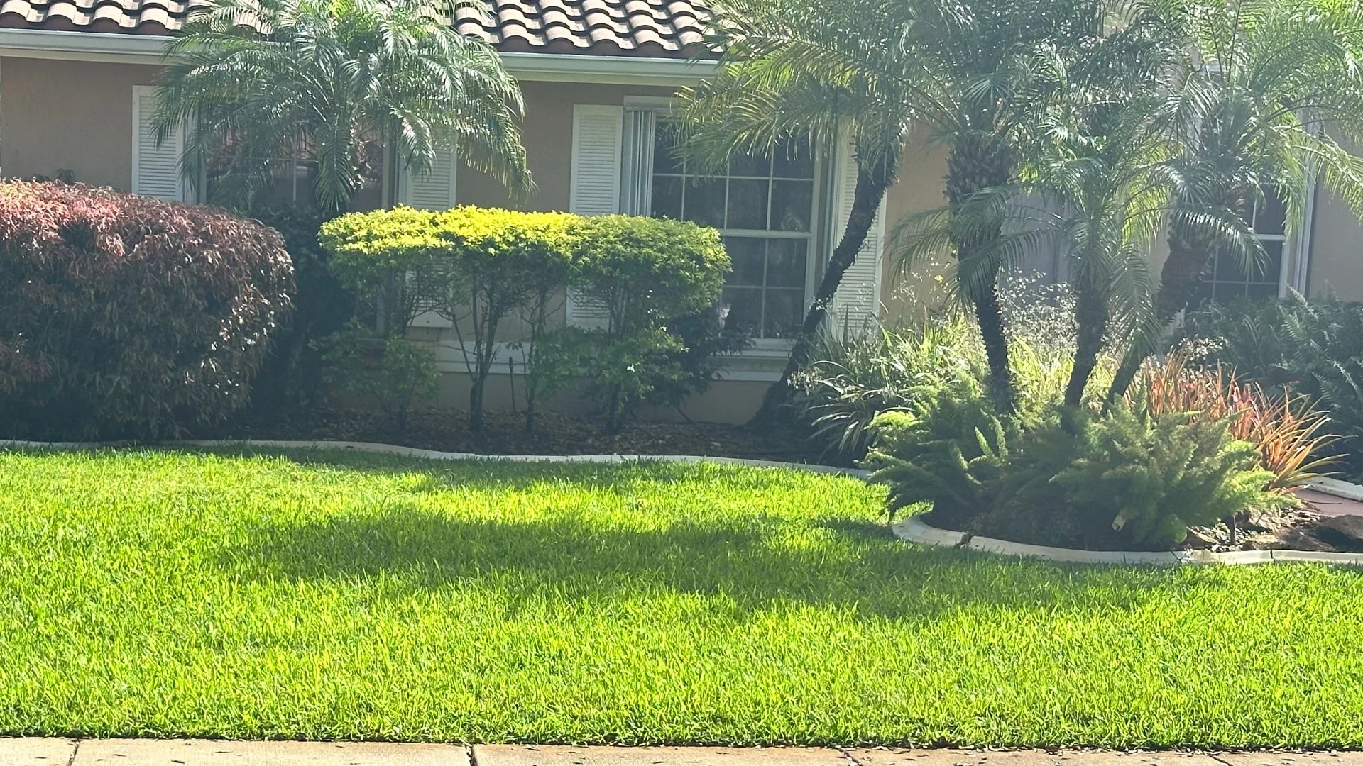 Is a Fall Fertilization Treatment Necessary for Lawns in Florida?