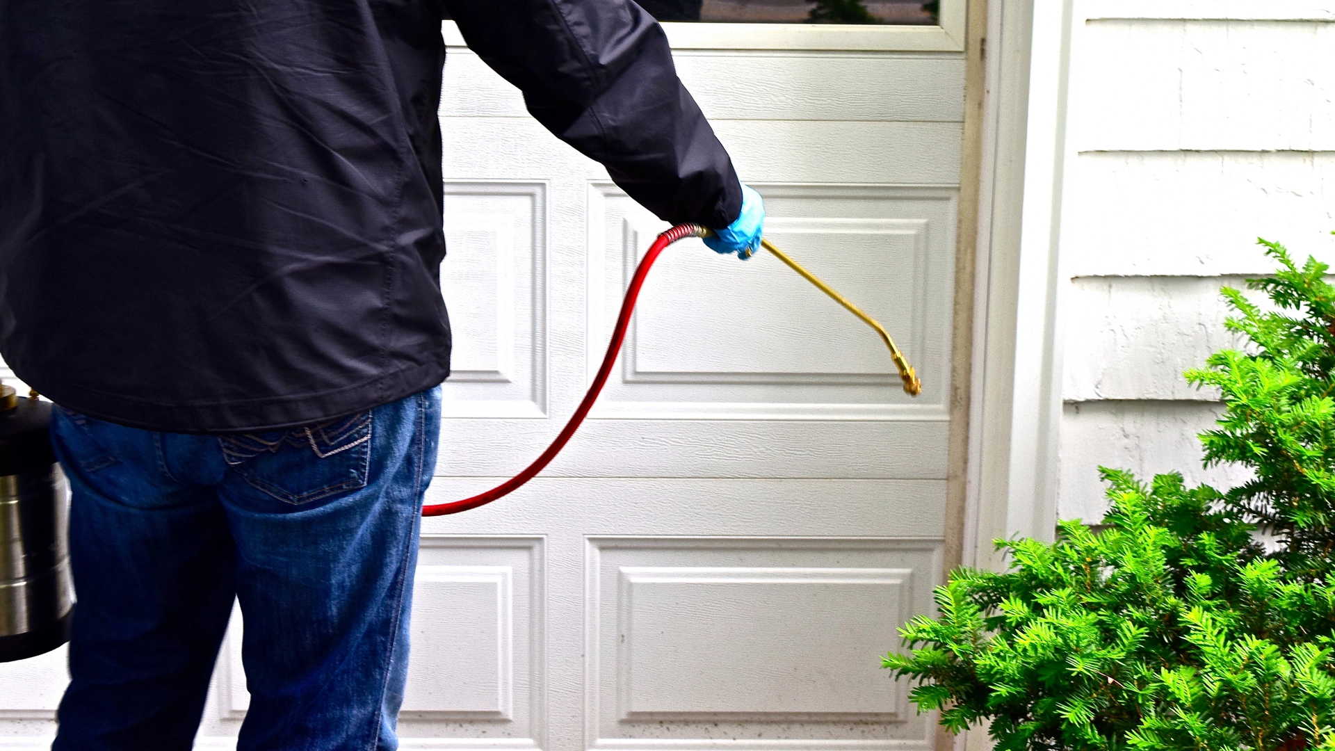 What a Homeowner Should Look for When Hiring an Exterminator