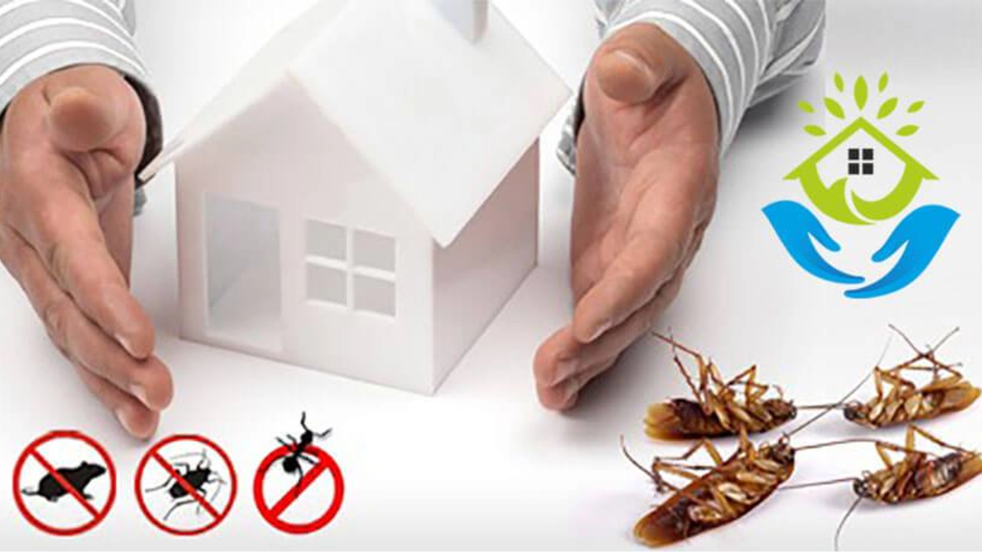 How to Keep Pests Out of Your Home
