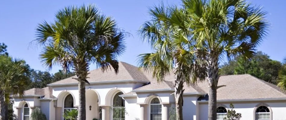 A home with palm trees in Hallandale Beach, FL.