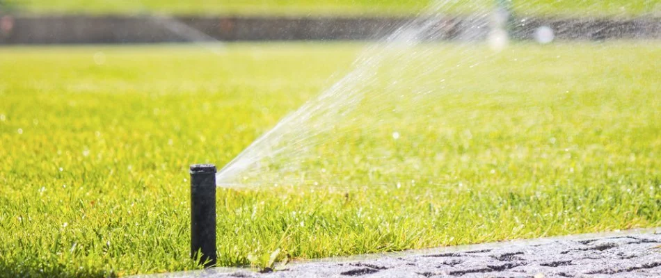 Black sprinkler head spraying water on a lawn in Miramar, FL.