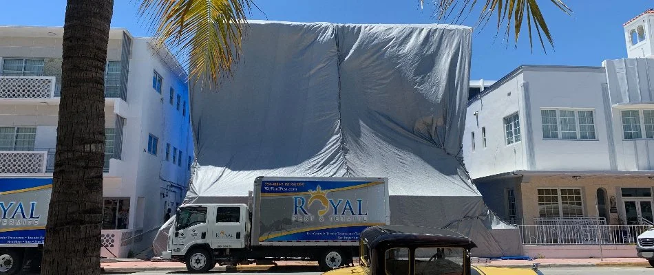 Business tented for termites in Miramar, FL.
