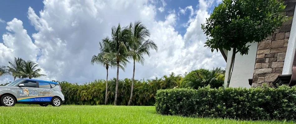 Car in a yard in Oakland Park, FL, with trees and shrubs.