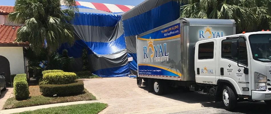 Company truck parked in a driveway with fumigation tent on house.