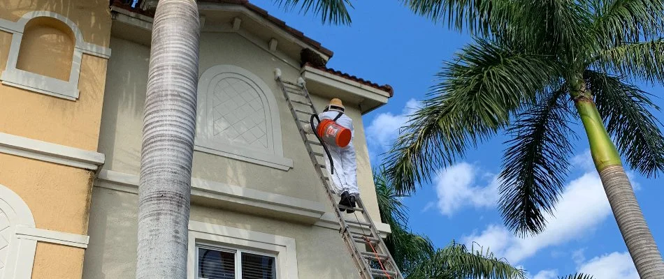 Crew on a ladder in Miami Gardens, FL, for a pest control treatment.