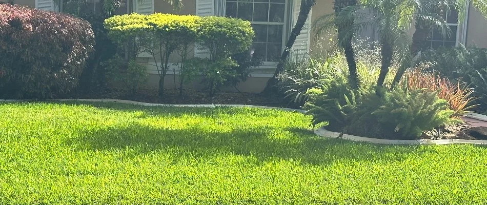 Dense grass and healthy landscape plants in Sunny Isles Beach, FL.