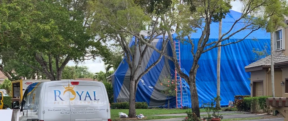 Fumigation tent on a property in Broward County, FL.