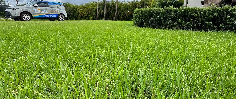 Healthy, green grass and company car in Doral, FL.