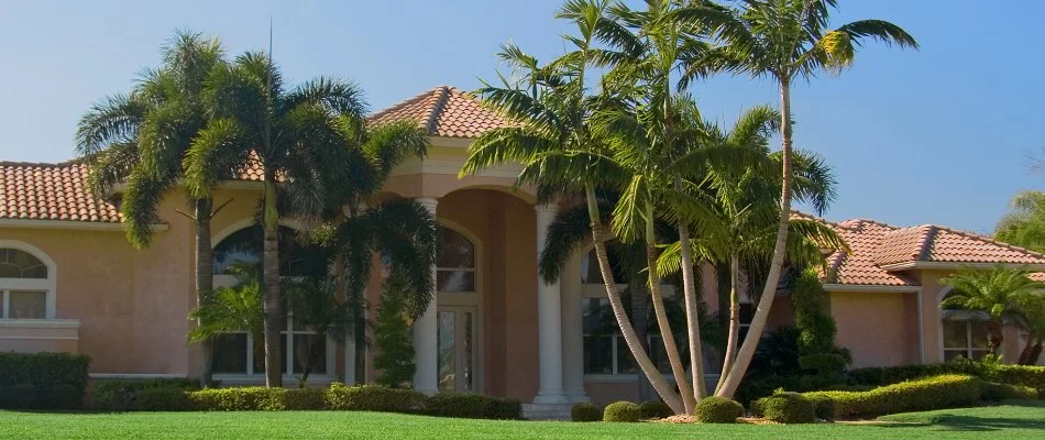 A home in Hollywood, FL, with palms trees and shrubs in the front yard.