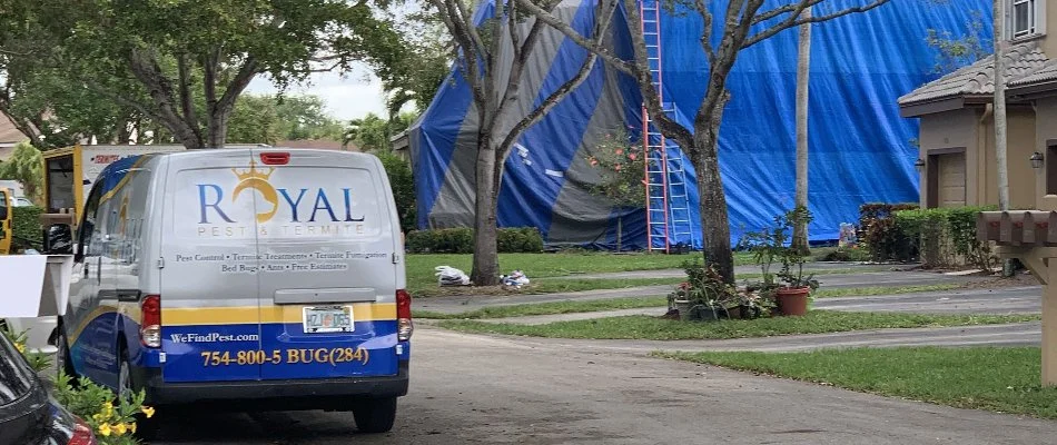 Royal Pest Control van near tented home in Lauderdale Lakes, FL.