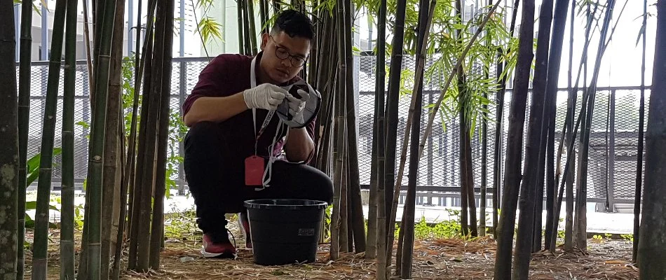 Pest control employee setting up mosquito trap in Miramar, FL.