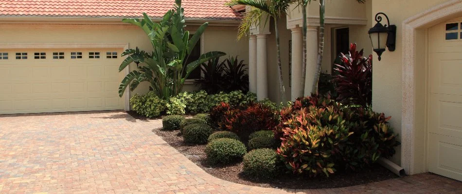 Palm trees and shrubs by a driveway in Country Club, FL.