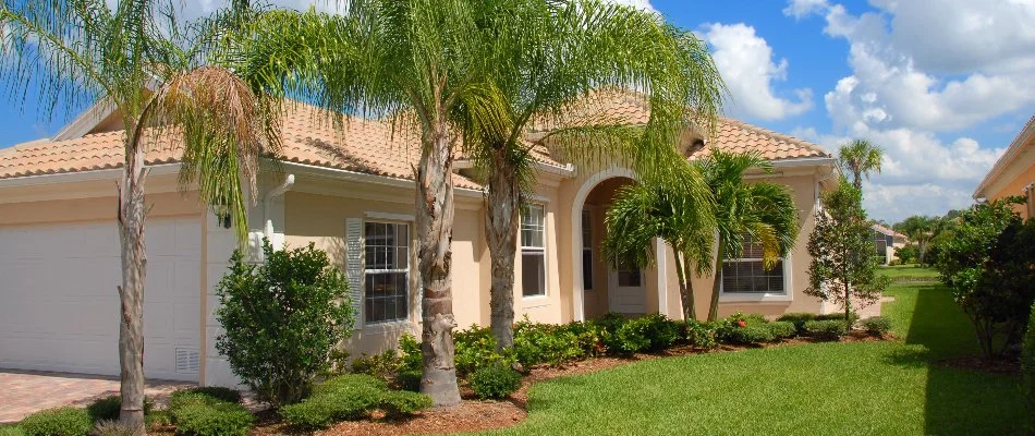 Palm trees in front of a home in Miami Shores, FL.