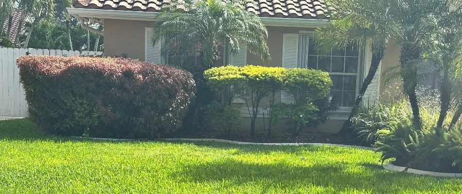 Palm trees and shrubs outside a house in West Little River, FL.