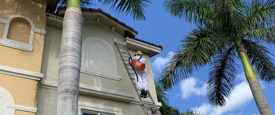 Pest control professional removing wasps in Weston, FL.