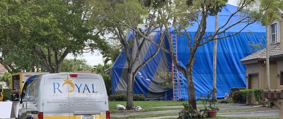 A home being fumigated in Hallandale Beach, FL.