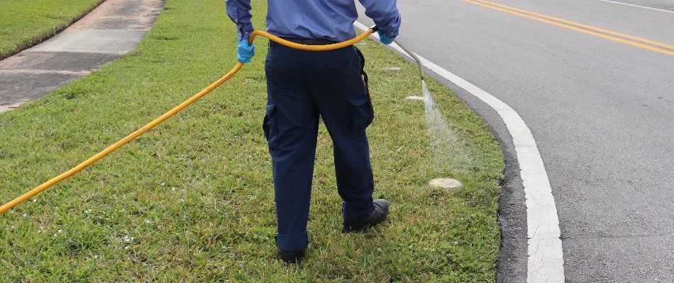 Professional pest control technician spraying an ant hill in Cooper City, FL.