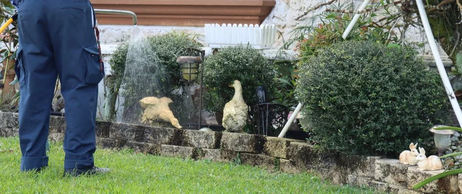 A professional spraying a treatment onto shrubs on a property in Coconut Creek, FL.