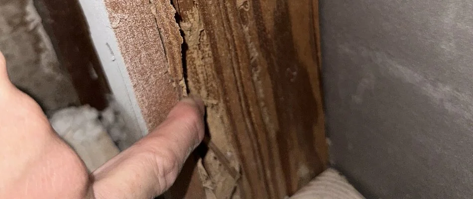 Property in Miramar, FL, with evidence of termites.