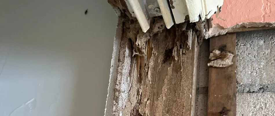 Wood damage caused by termites on a doorjamb in Miramar, FL.