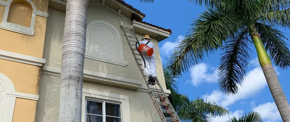 Worker climbing a ladder against a building in Coconut Grove, FL.