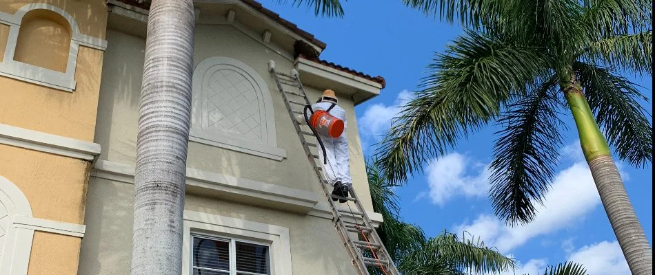 A worker in Miramar, FL, climbing a ladder to treat a bee hive.